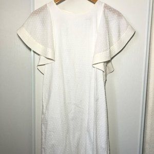 J Crew Flounce Sleeve Swiss Dot Dress